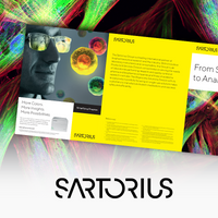 From Seeing to Analyzing