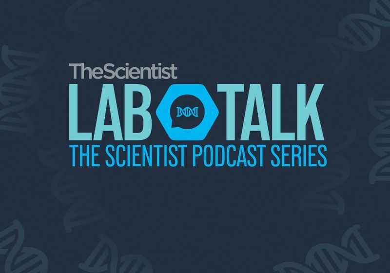 The Scientist's LabTalk Podcast - Episode 2