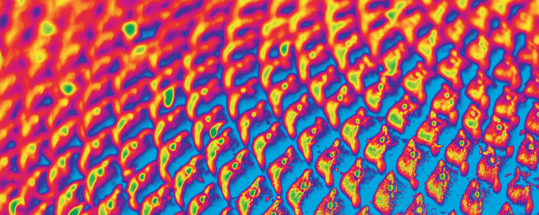 Book Excerpt From Every Life Is On Fire The Scientist Magazine