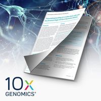 Profiling 1.3 Million Brain Cells<br>