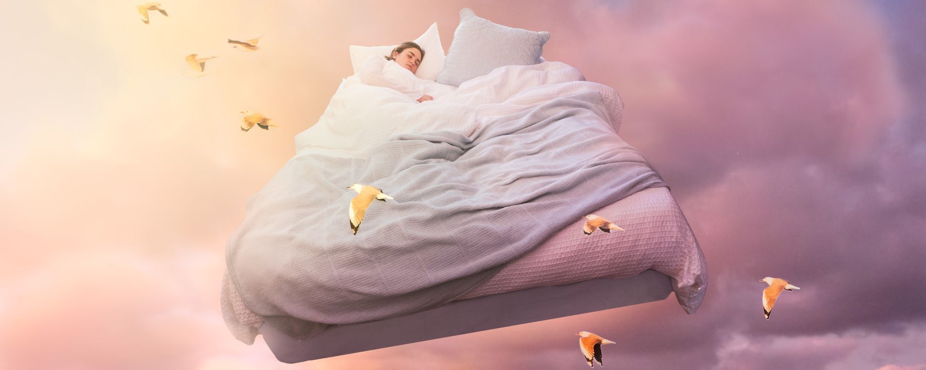 banner-istock-1129190728-x.jpg