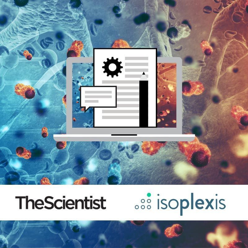 Performing Metabolomic and Functional Proteomic Analyses on a Heterogenous Cancer Cell Population