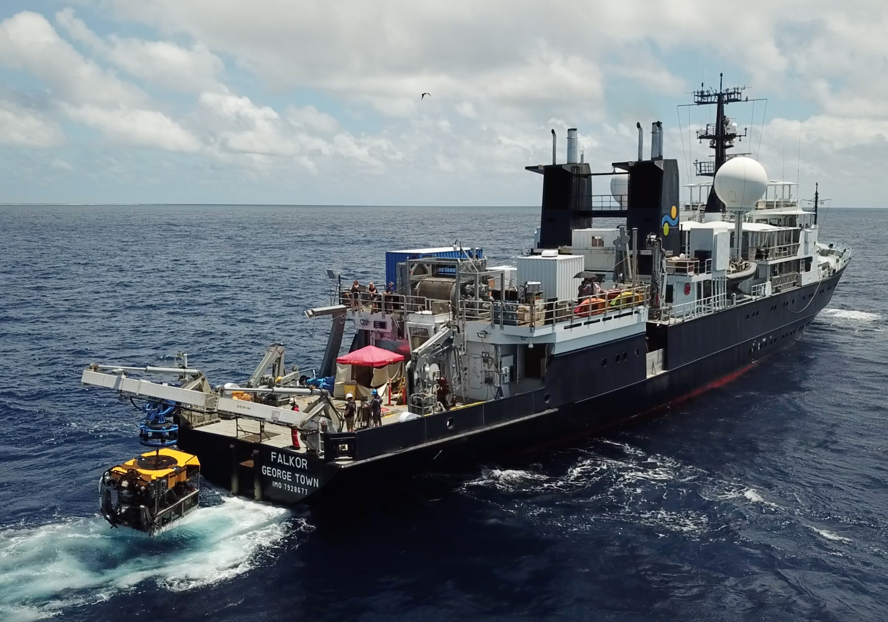 Many Deep-Sea Microbes Invisible to Mammalian Immune System | The Scientist  Magazine®
