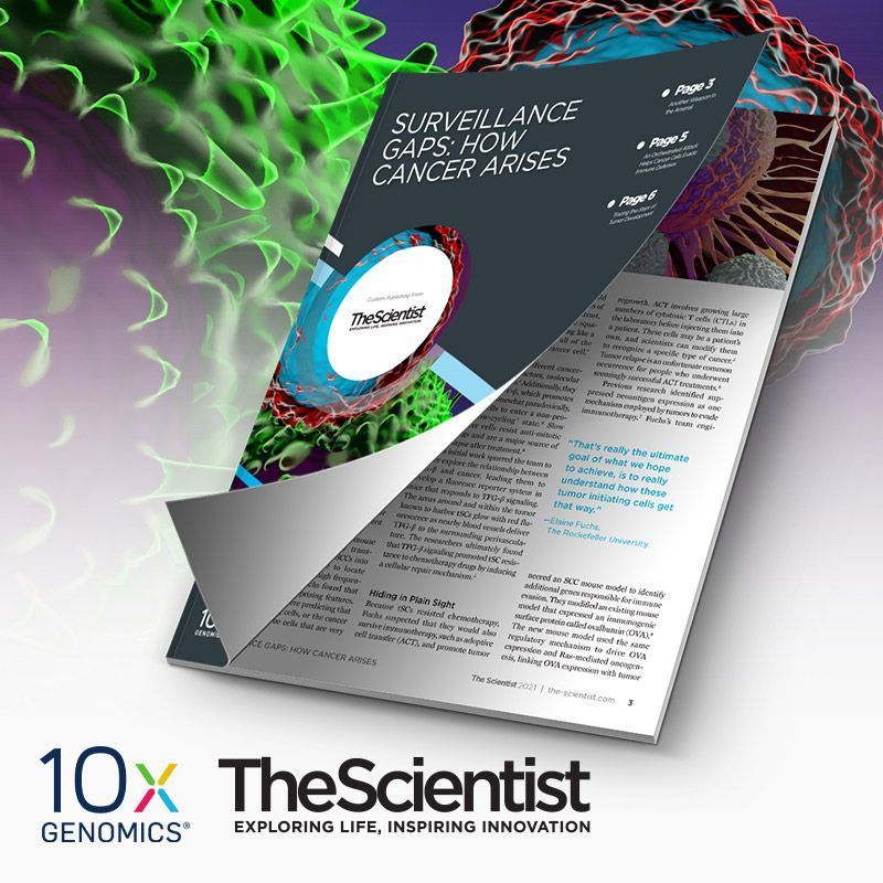 Surveillance Gaps: How Cancer Arises