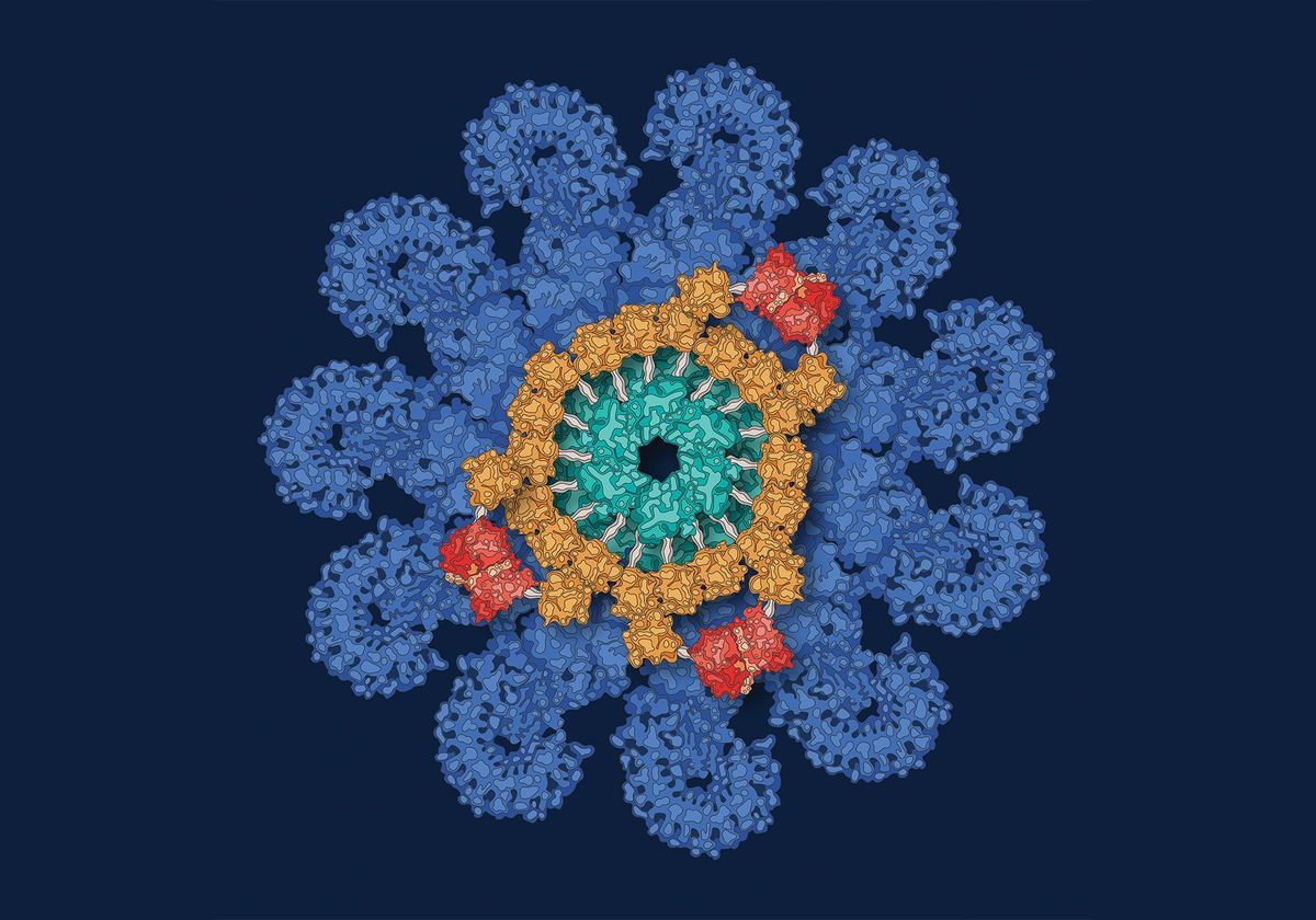 Pharma Looks to Inflammasome Inhibitors as All-Around Therapies - Vimarsana News