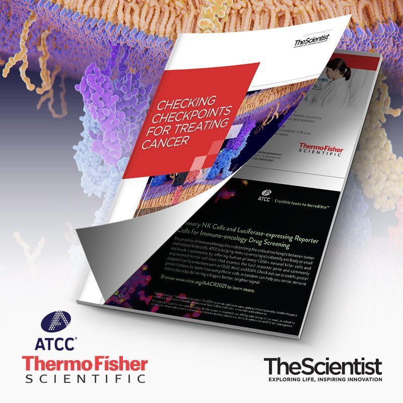 Checking Checkpoints for Treating Cancer