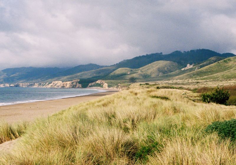 Lyme Disease Pathogen Present in Ticks Near the Coast - Vimarsana News