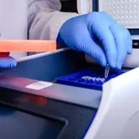Coronavirus Mutations Could Muddle COVID-19 PCR Tests | The Scientist