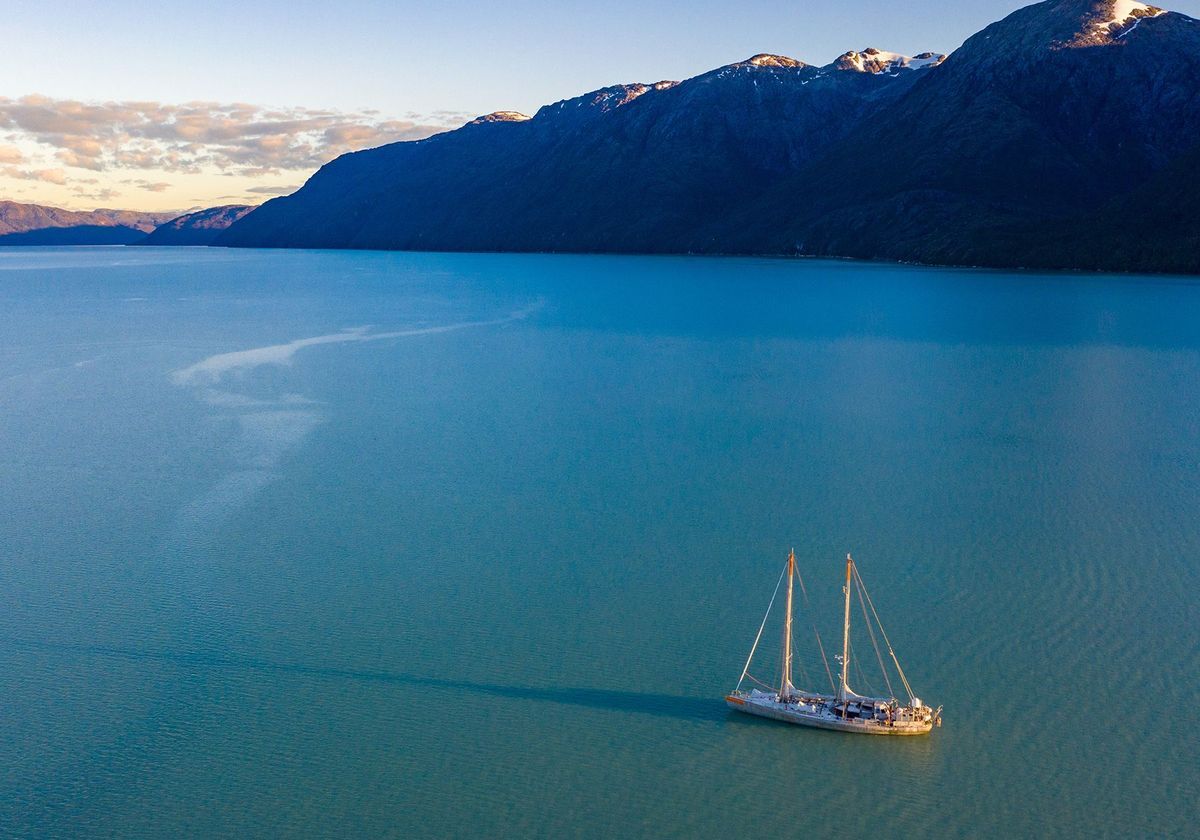 Sailing the Seas in Search of Microbes - Vimarsana News