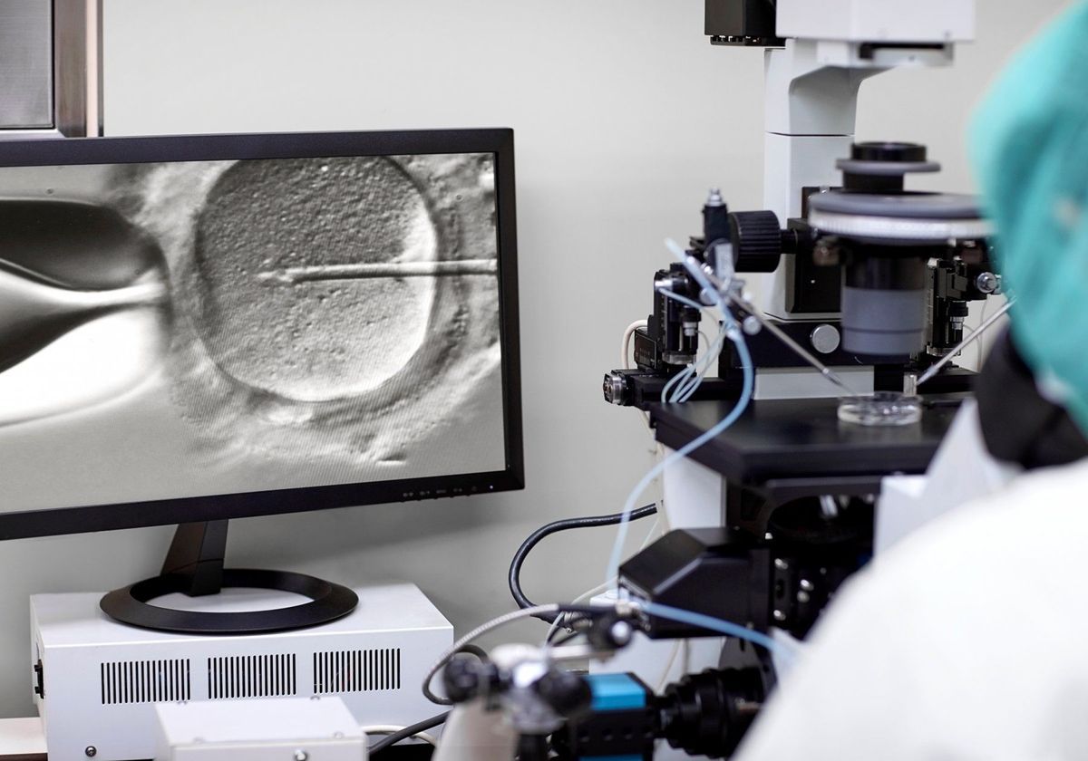 Human Stem Cell Research Guidelines Updated - Vimarsana News