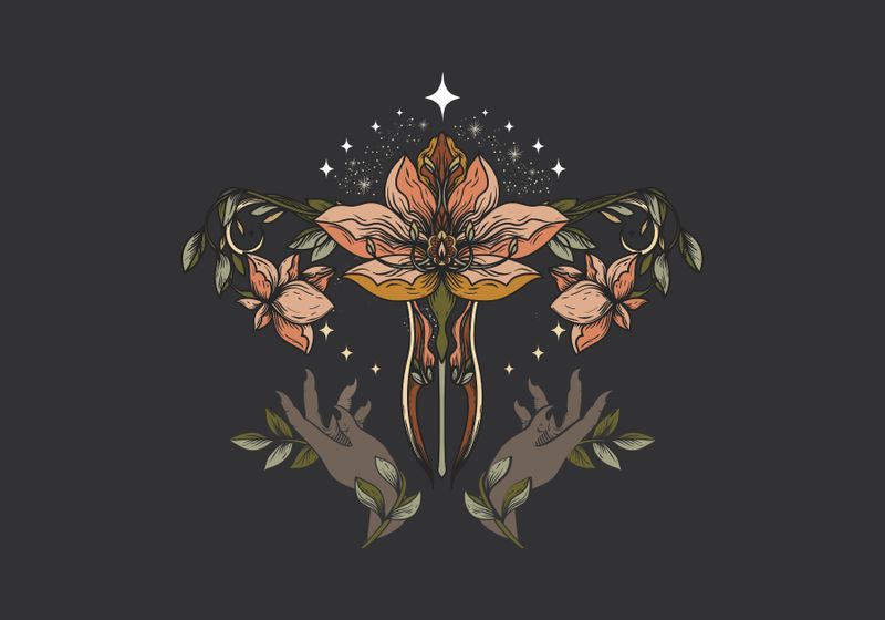 Uterus Transplants Hit the Clinic