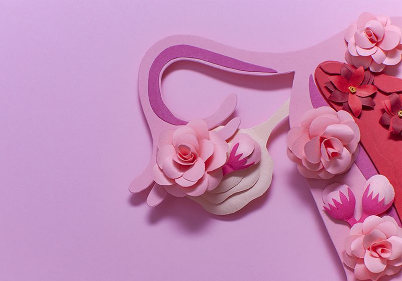 A New View of My Own Past