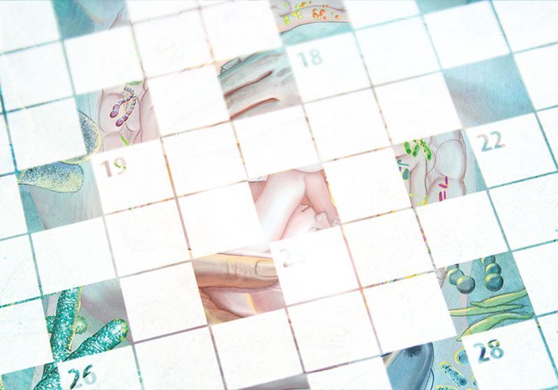 August 2021 Interactive Crossword