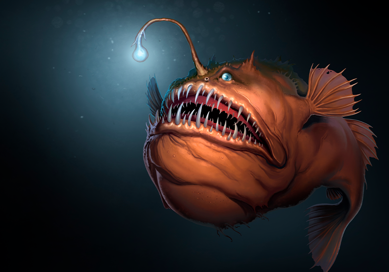 What's Mine is Yours: The Immunogenetics of Mating in Anglerfish