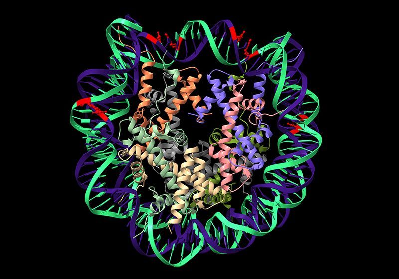 Methylation Sequencing in Cancer Detection