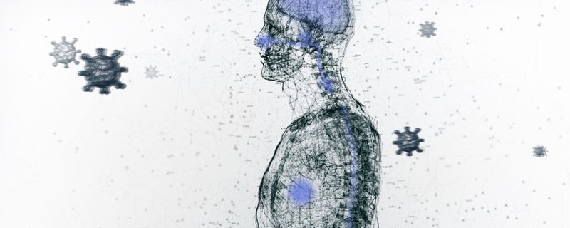 SARS-CoV-2&rsquo;s Wide-Ranging Effects on the Body