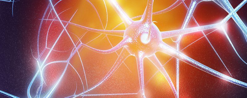 Neuron-Released Protein Can Set Off Inflammation: Study