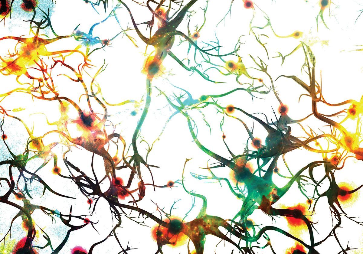 Microglia as Therapeutic Targets in Neurodegenerative Diseases - Vimarsana News