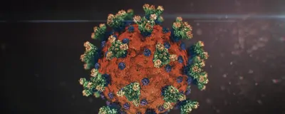 Tweak to N Protein Makes Delta Variant More Infectious | The Scientist