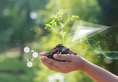 Molecular Farming: The Future of Pharmaceuticals 