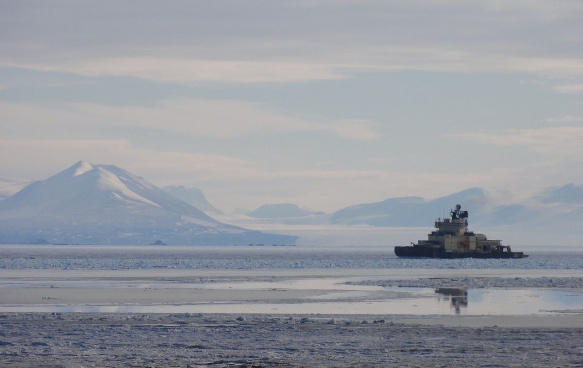 Q&A: How to Keep Antarctica Safe from Invasive Species - Vimarsana News
