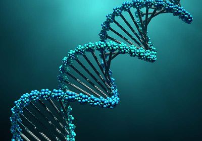 Learn how to design an efficient custom CRISPR screen