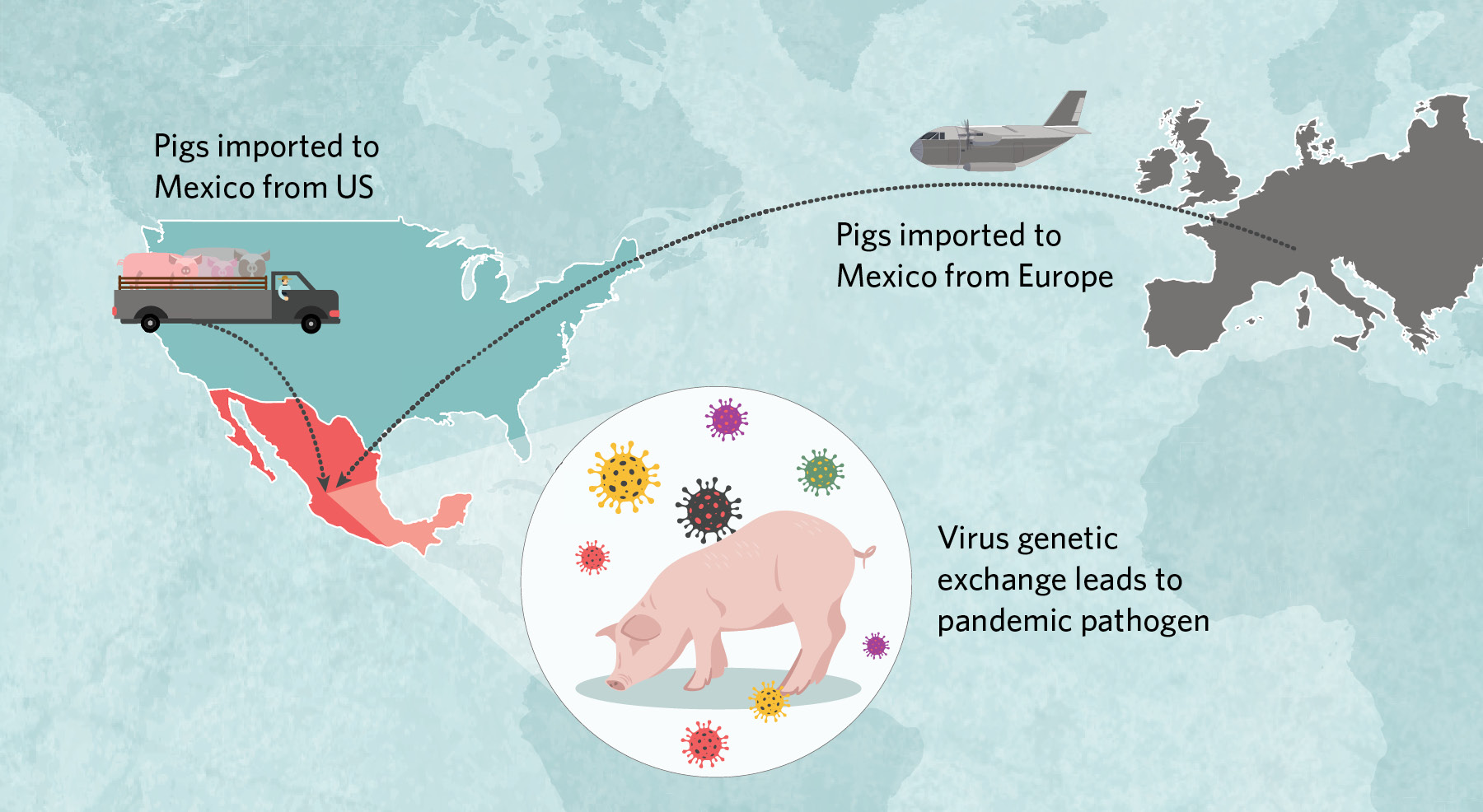 H1N1 (Swine Flu) In Children