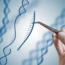 Combinatorial Single Cell CRISPR Screens: Challenges and Applications ...