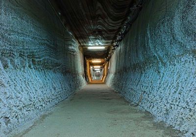 Mummified Gut Bugs Reveal Ancient Dietary Secrets