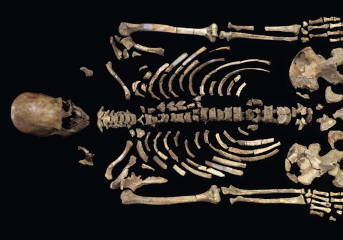 Ancient DNA Boom Underlines a Need for Ethical Frameworks - Vimarsana News