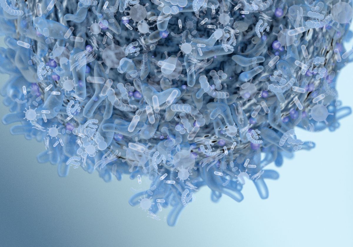 Could Cancer's Microbiome Help Diagnose and Treat the Disease? | TS Digest - Vimarsana News