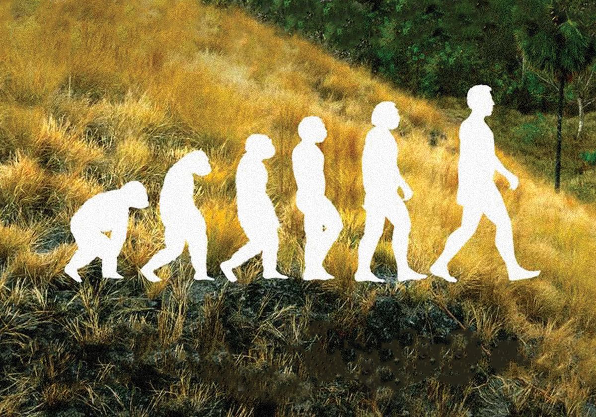 Opinion: Another Species of Hominin May Still Be Alive - Vimarsana News