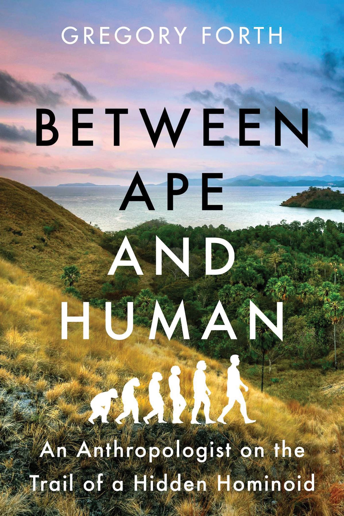 Between Ape and Human book cover