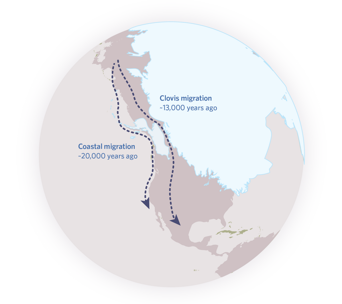 Illustration showing migration of the earliest humans