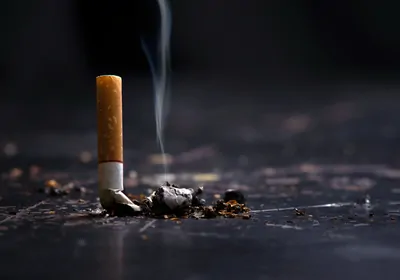 al fakher tobacco factory Al Fakher Tobacco Trading