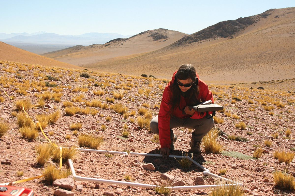 Researcher Julia Monk surveys vegetation cover in the park.