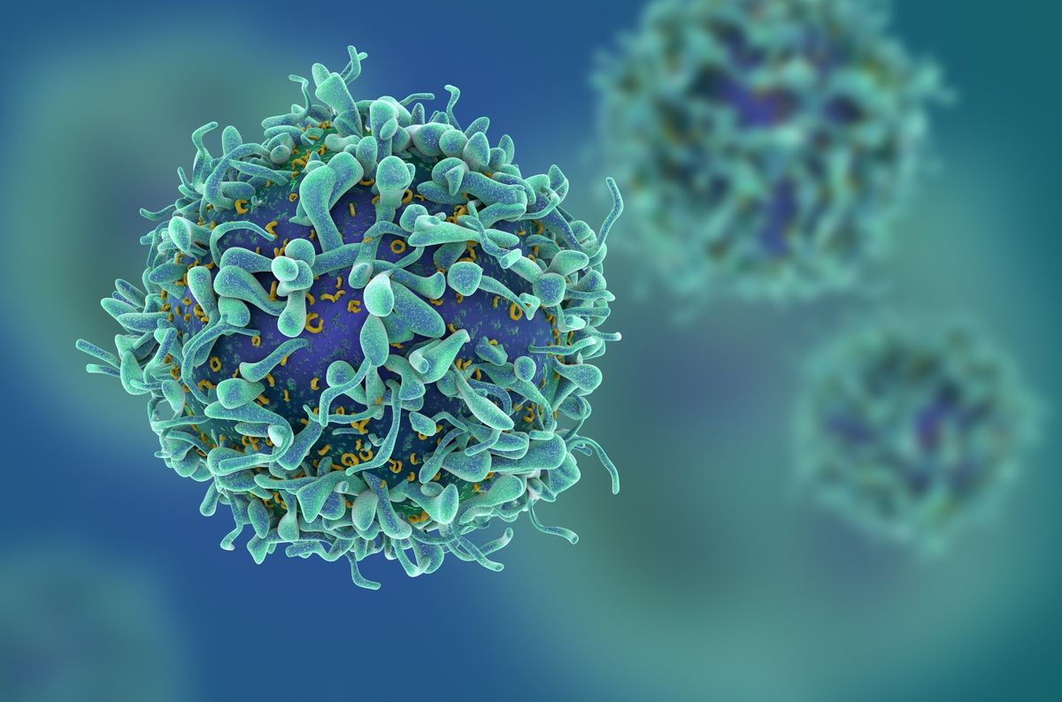 Study Links Stress to a Faster-Aging Immune System - Vimarsana News