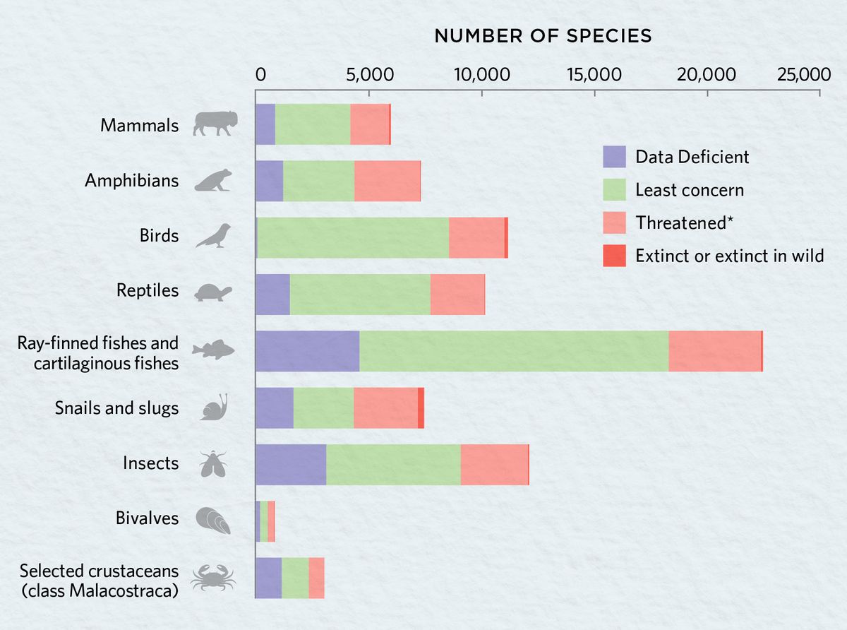 animal extinction chart