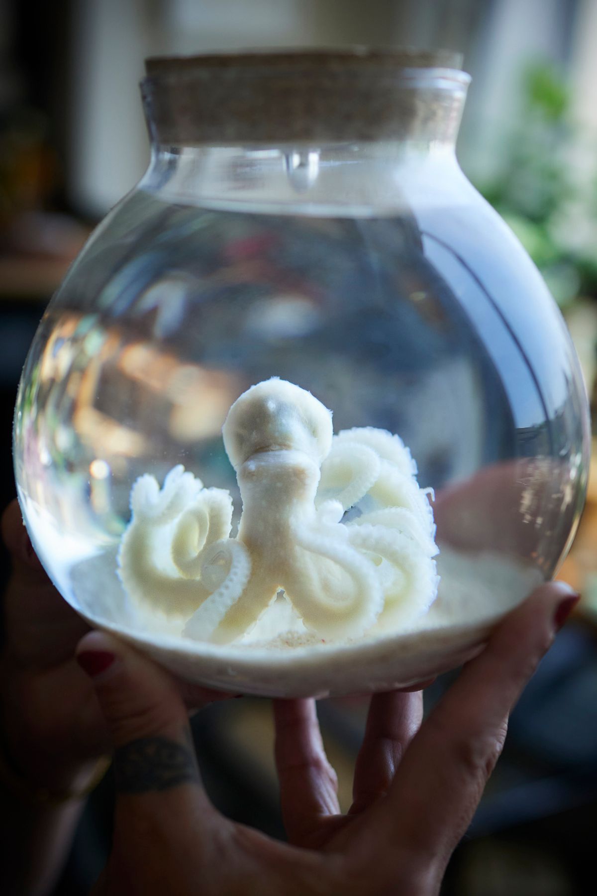 small white octopus preserved in glass flask