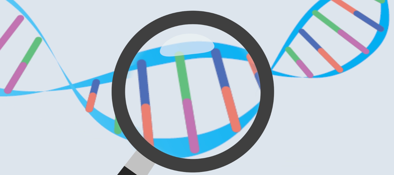 Targeted Next Generation Sequencing With Mybaits The Scientist