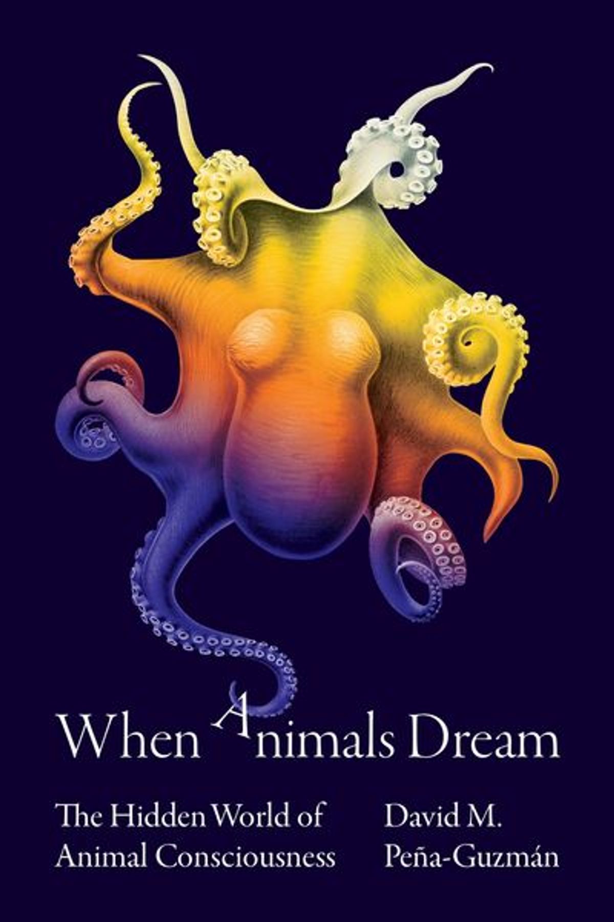 Cover of <em>When Animals Dream</em>: A colourful illustration of an octopus.