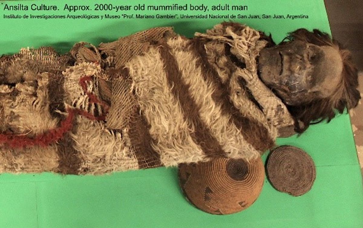 Ancient Mummies' Lousy View of the Past | The Scientist Magazine® - Vimarsana News