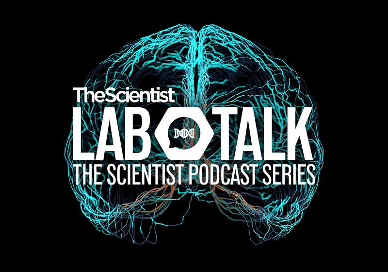 LabTalk Podcast - The New Era of Neurodegeneration Research | The Scientist