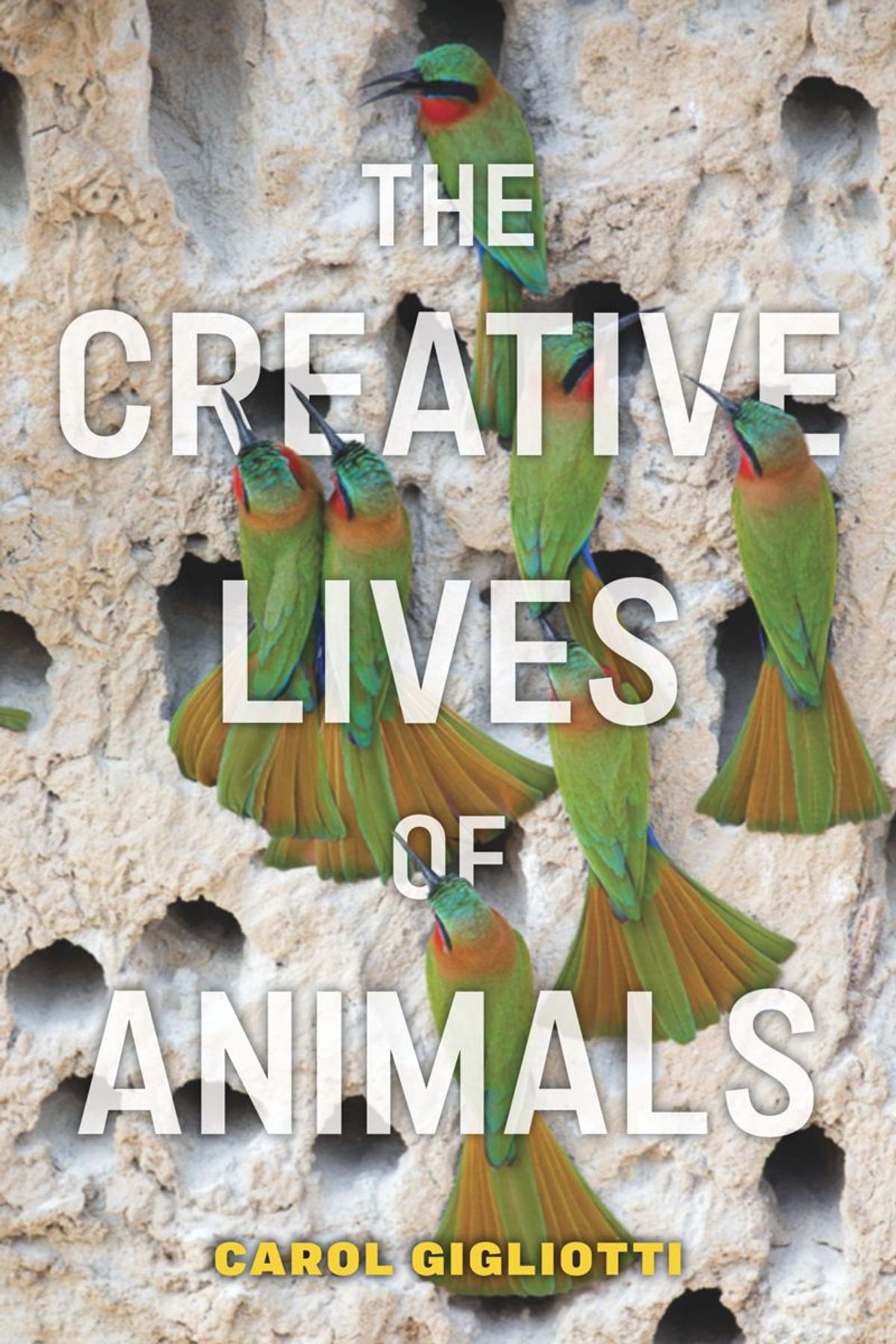 Book cover of 'The Creative Lives of Animals' by Carol Gigliotti showcasing ca colourful group of birds