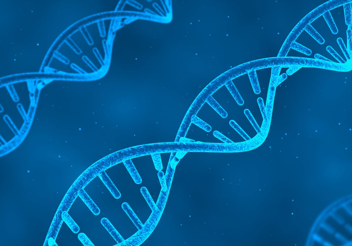 Mitochondrial DNA Sneaks into Nuclear Genome - Vimarsana News