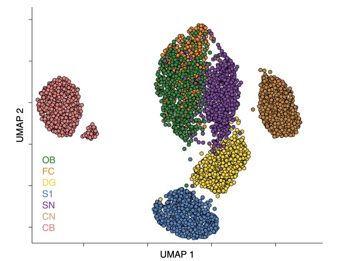 Graph showing shape similarities in microglia