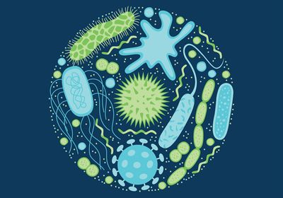 Vector image of turquoise and green bacteria and viruses on a navy-blue background.