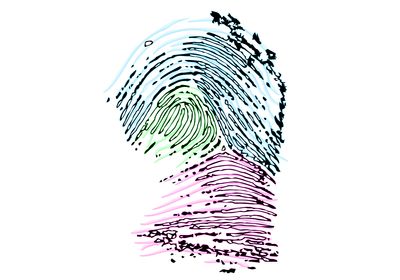 A fingerprint with three sections colored