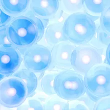 A cluster of blue cells A cluster of blue cells