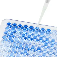 Pipette dispensing blue liquid into a multi-well plate. Pipette dispensing blue liquid into a multi-well plate.